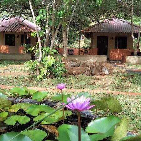 Hotel Niyagala Lodge Sigirîya Extérieur photo