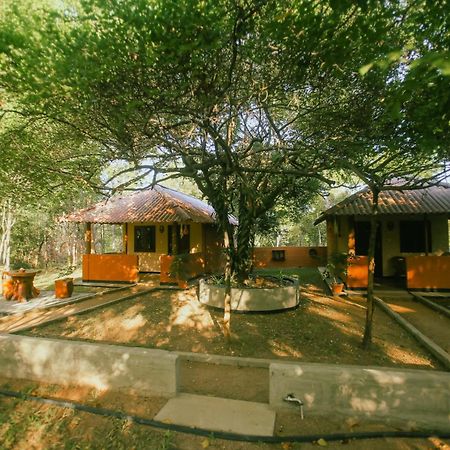 Hotel Niyagala Lodge Sigirîya Extérieur photo