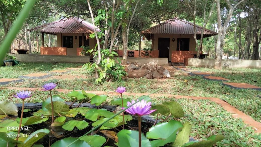 Hotel Niyagala Lodge Sigirîya Extérieur photo