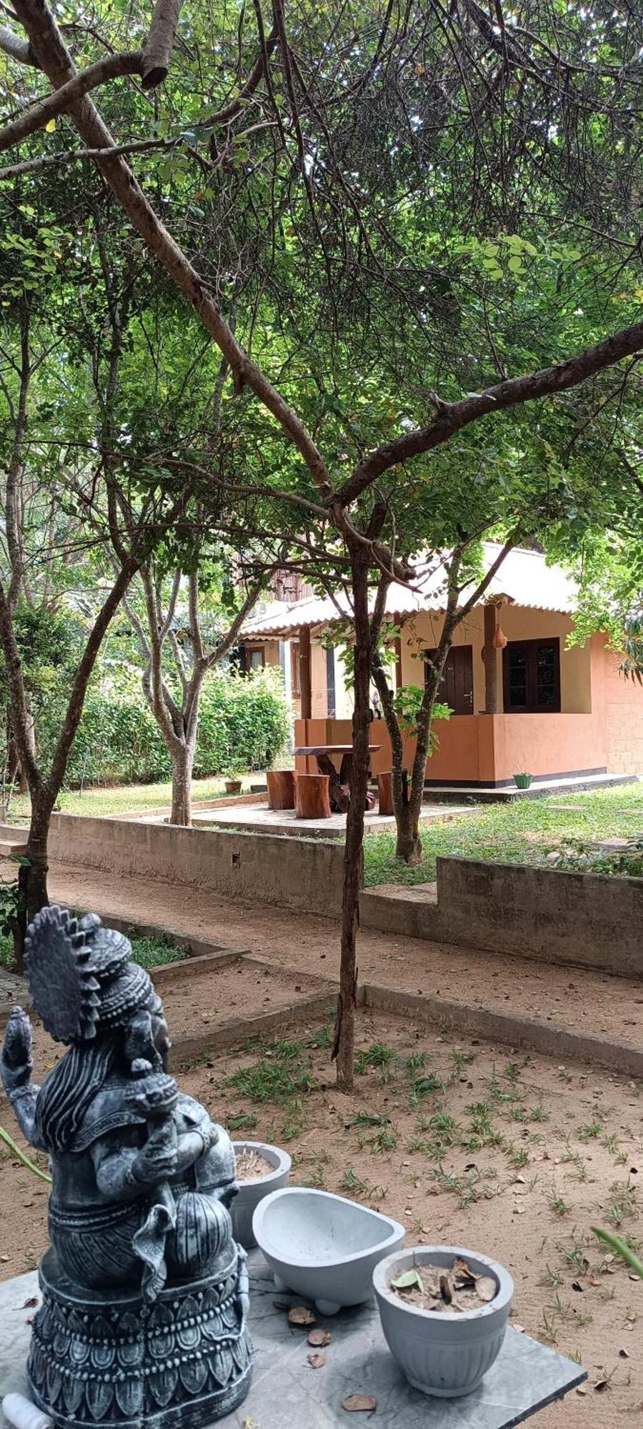 Hotel Niyagala Lodge Sigirîya Extérieur photo