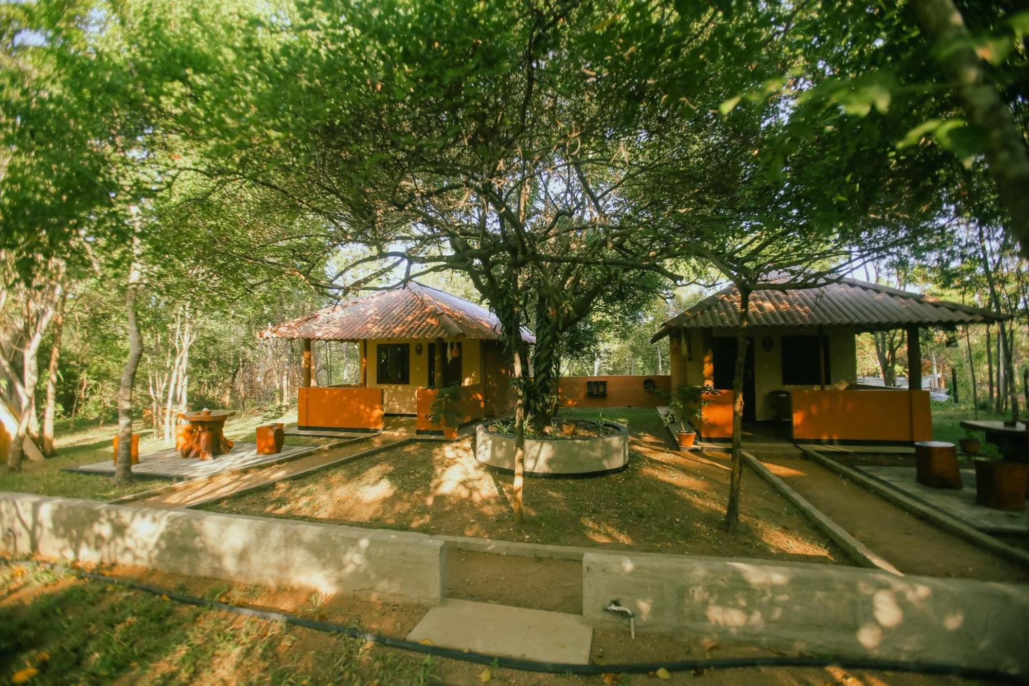 Hotel Niyagala Lodge Sigirîya Extérieur photo